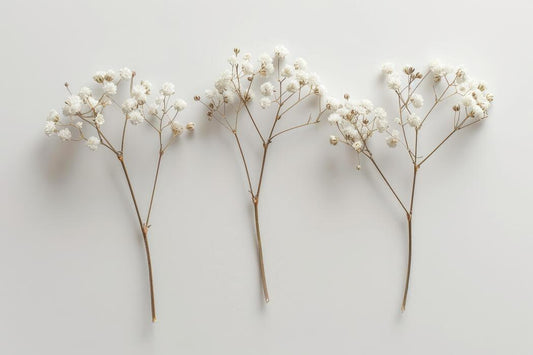 Baby‘s breath tree